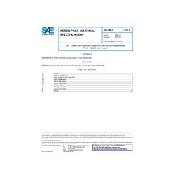 SAE AMS2980/2B