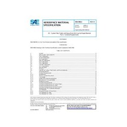 SAE AMS2980/1B