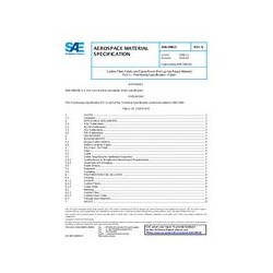 SAE AMS2980/3B