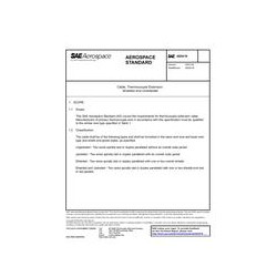 SAE AS5419