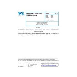 SAE AMS3843D