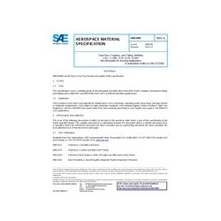 SAE AMS6496A