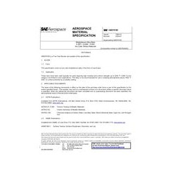 SAE AMS7819D