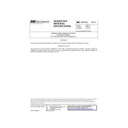 SAE AMS3782/1B