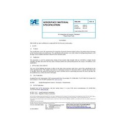 SAE AMS2440B