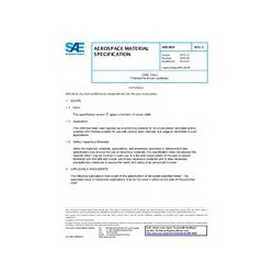 SAE AMS3824C