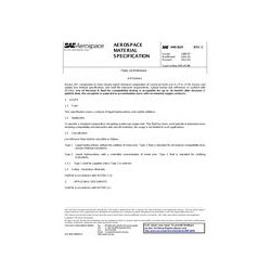 SAE AMS2629C