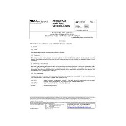 SAE AMS4328A