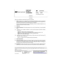 SAE J891_201304