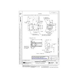 SAE AS5161B