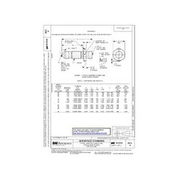 SAE AS4318A