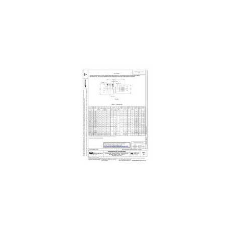 SAE AS21441B