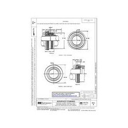 SAE AS1711B