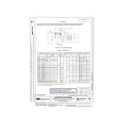 SAE AS21440A