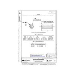 SAE AS3619A