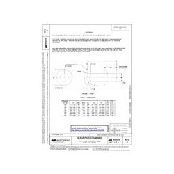 SAE AS9319A