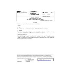 SAE AMS6317J