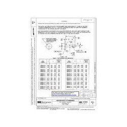 SAE AS9843A