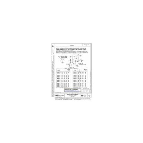 SAE AS9843A