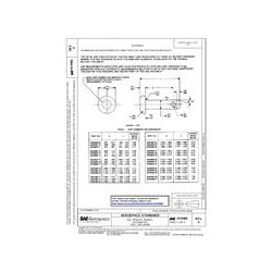 SAE AS9466A