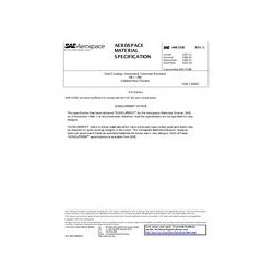 SAE AMS5358C