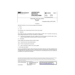 SAE AMS4910P