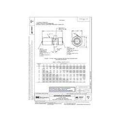 SAE AS6047A