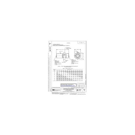 SAE AS6047A