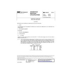 SAE AMS2819B