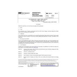 SAE AMS6515A