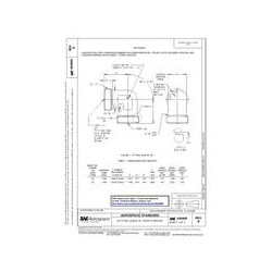 SAE AS4668B
