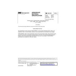 SAE AMS4302B