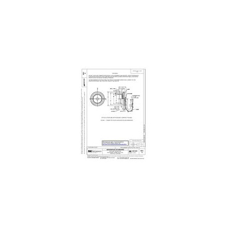 SAE AS31821A
