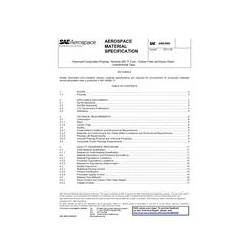 SAE AMS3960