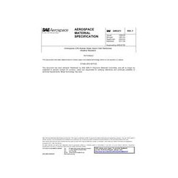 SAE AMS3273F