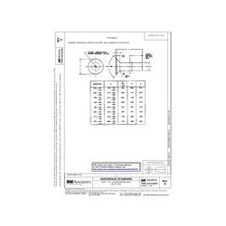 SAE AS 125101B thru AS 125250B