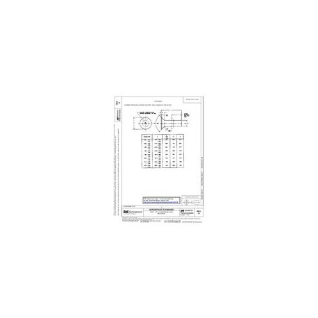 SAE AS 125101B thru AS 125250B