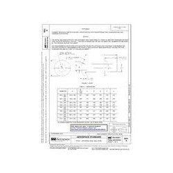 SAE AS 125551A thru AS 125700A