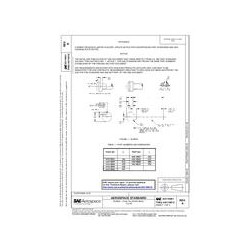 SAE AS 116901A thru AS 116912A
