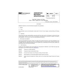 SAE AMS6274P