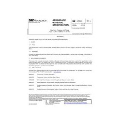 SAE AMS6263L