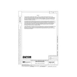 SAE AMS10133A