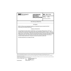 SAE AMSS13165A