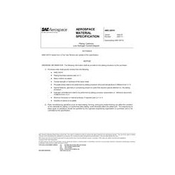 SAE AMS2401H