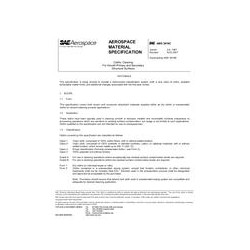 SAE AMS3819C