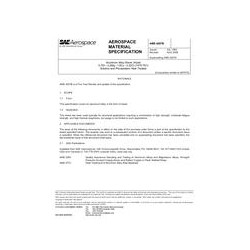 SAE AMS4207B