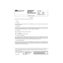SAE AMS2434C