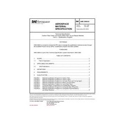 SAE AMS2980/2A