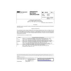 SAE AMS4295C