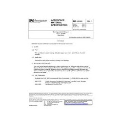 SAE AMS4820E
